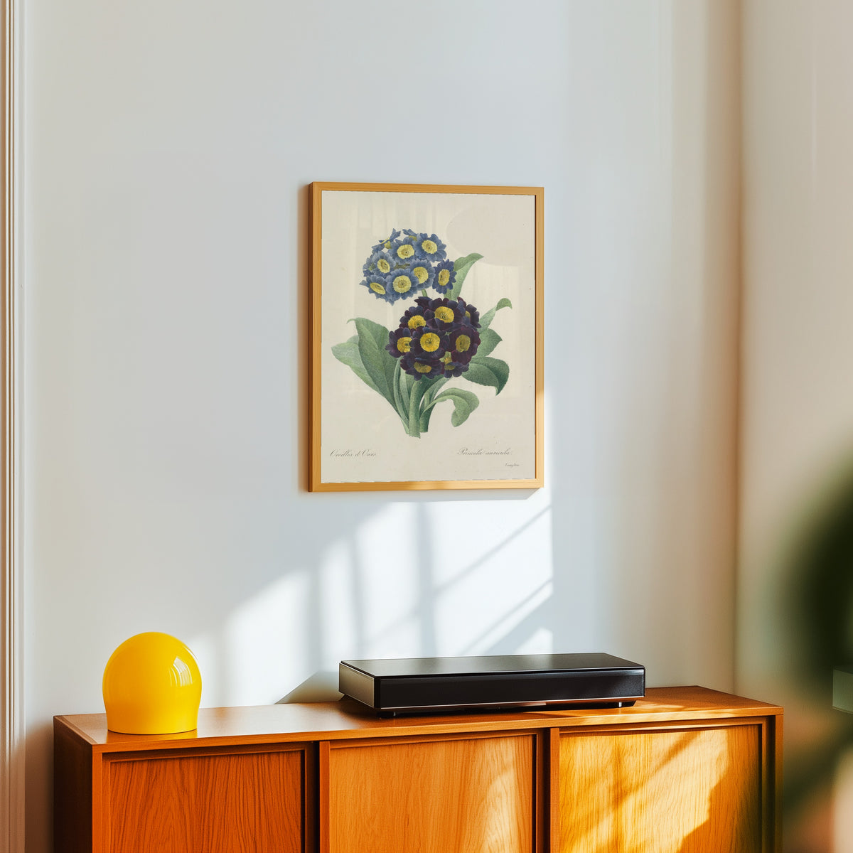 Framed art print of Choix des plus belles fleurs: Auricula by Pierre-Joseph Redouté, in a light wood frame on a white wall above an orange sideboard