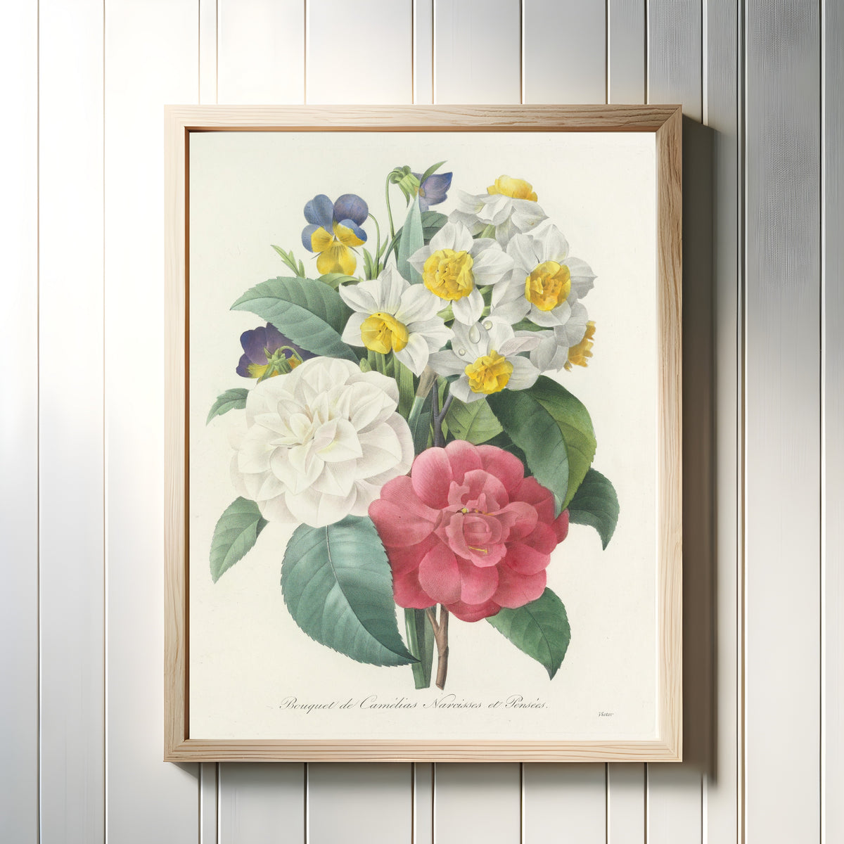 Framed art print of Choix des plus belles fleurs: Bouquet of Camellias, Narcissi and… by Pierre-Joseph Redouté, in a light wood frame on a white panelled wall