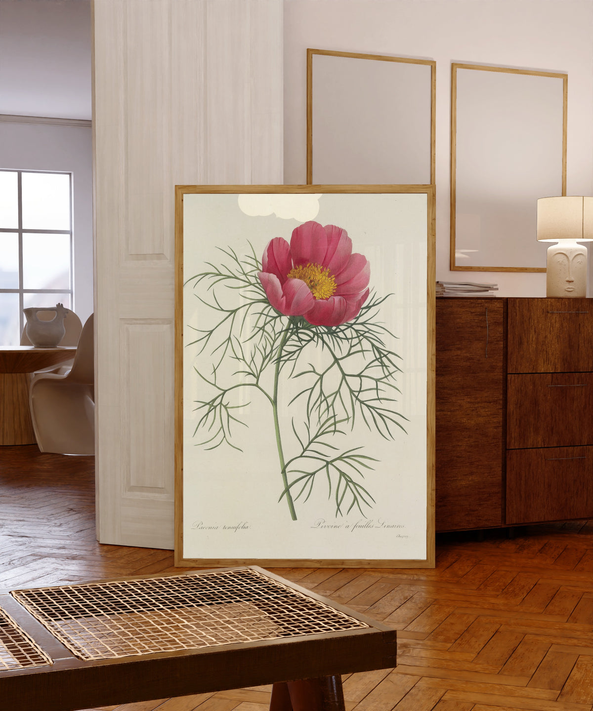 Framed art print of Choix des plus belles fleurs: Paeonia tenuifolia by Pierre-Joseph Redouté, in a light wood frame leaning in a warm room with a parquet floor