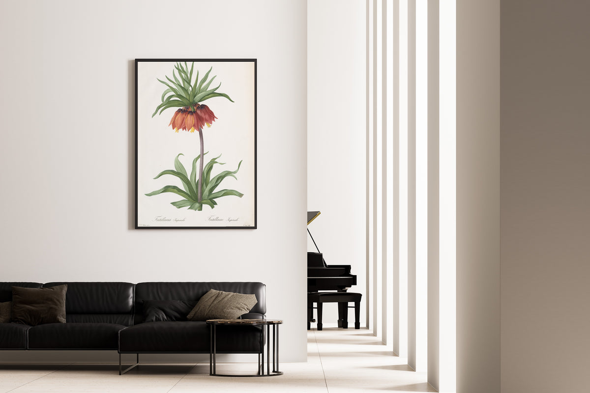 Pierre-Joseph Redouté — Les Liliacées: Fritillaria imperialis (Crown Imperial) | Botanical Illustration Print