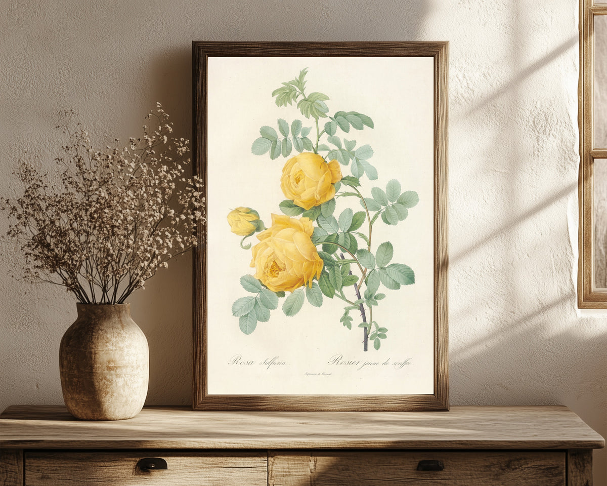 Framed art print of Les Roses: Rosa Sulfurea by Pierre-Joseph Redouté, in a dark wood frame leaning on a rustic console beside dried flowers