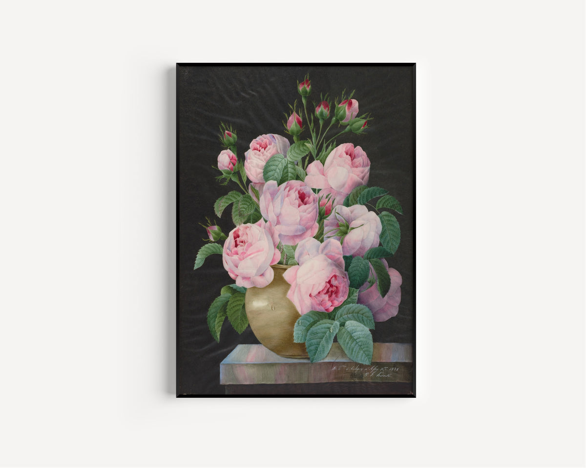 Pierre-Joseph Redouté — Pink Roses in a Vase | Botanical Illustration Print