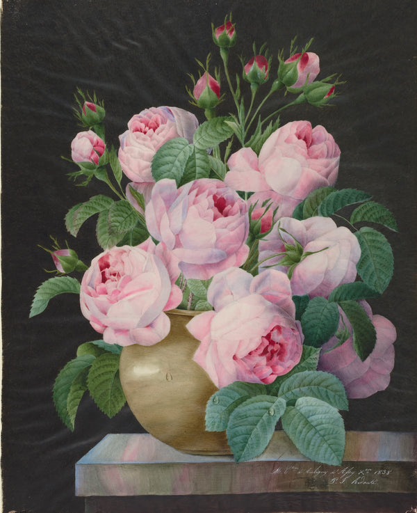 Pierre-Joseph Redouté — Pink Roses in a Vase | Botanical Illustration Print