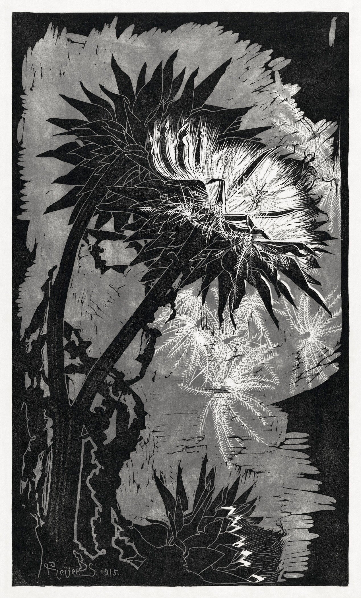Reijer Stolk — Artichokes in Shadow | Expressionist Woodcut Print - 9ArtPrints
