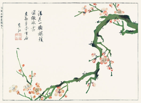 Sakura Cherry Blossom Giclee Print: Vintage Japanese Woodblock Art