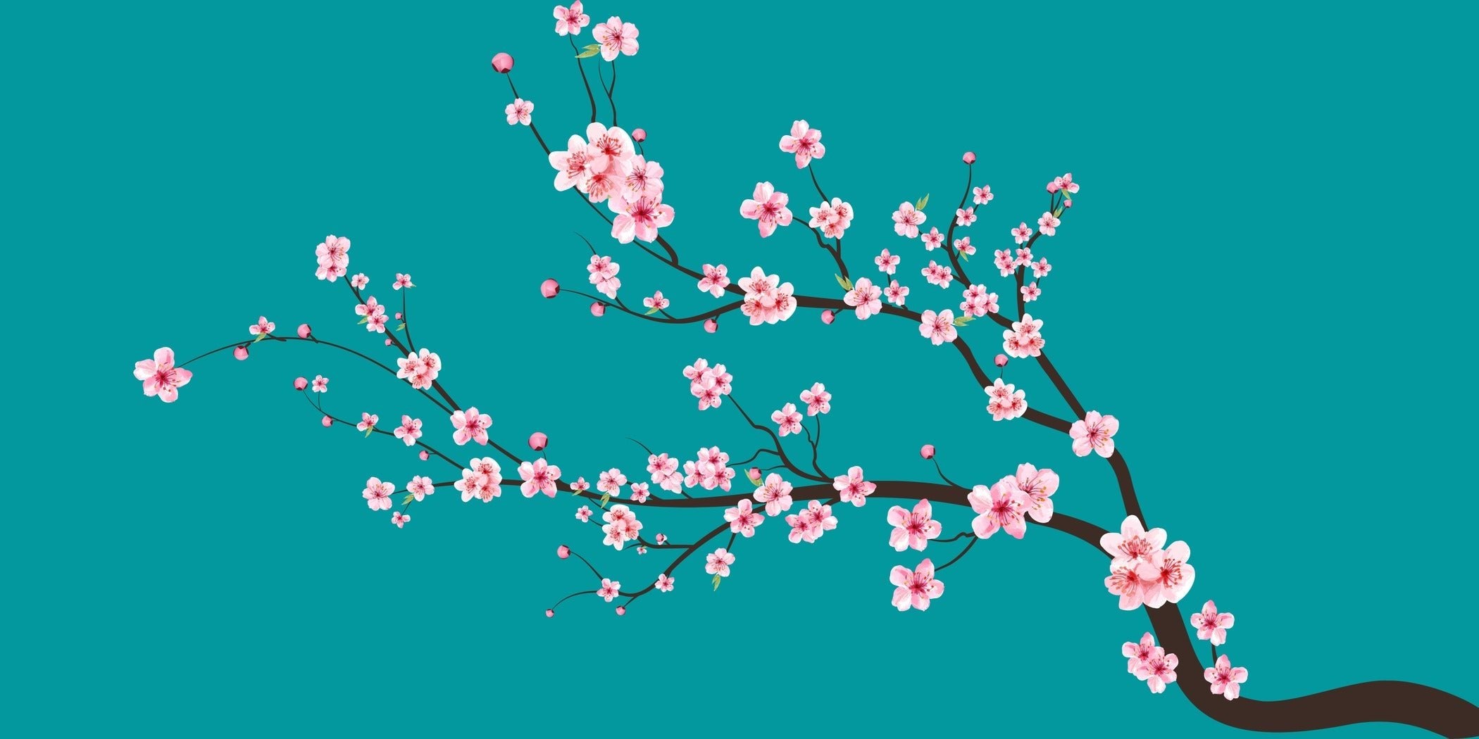 Sakura Panoramic — Aquamarine | Japanese Cherry Blossom Wide Print - 9ArtPrints