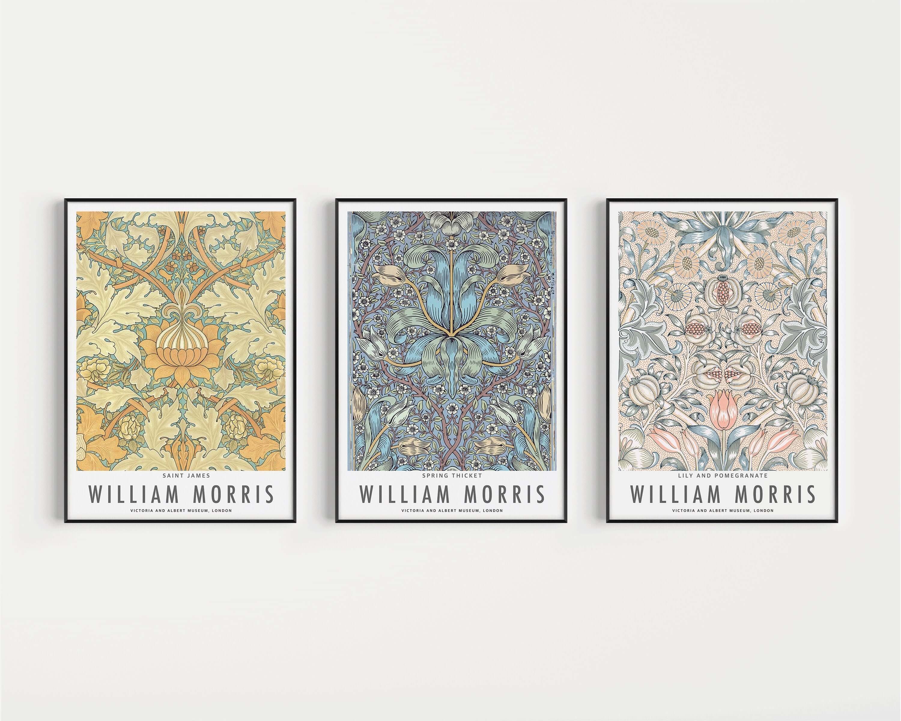 Set of 3 William Morris Prints Orange Blue Peach Museum Exhibition Art Nouveau Flower Pattern Flower Ready to hang Framed Home Office Decor - 9ArtPrints