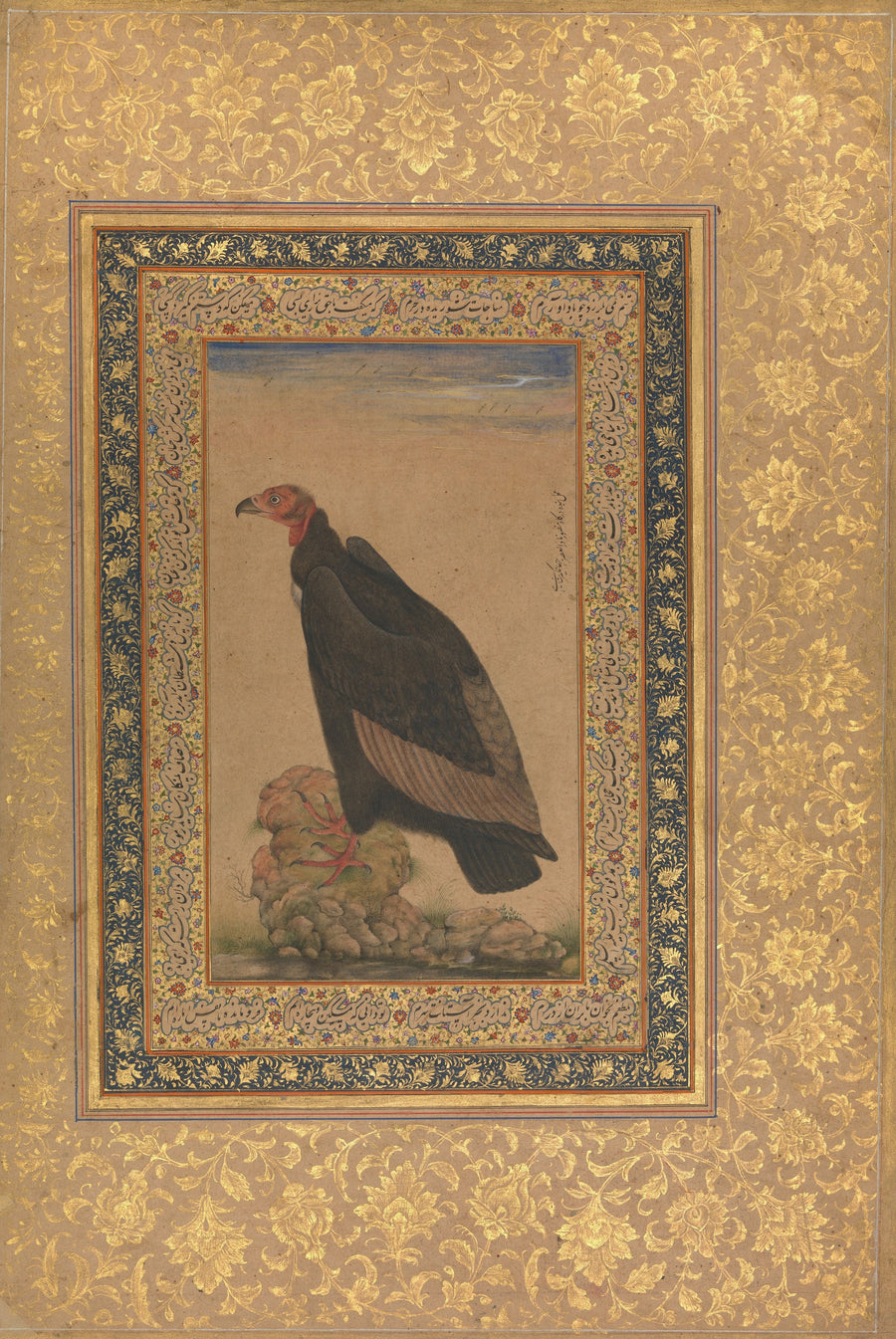 Shah Jahan Album: Red-Headed Vulture | Mughal Painting Art Print shown to scale on a wall above a sofa