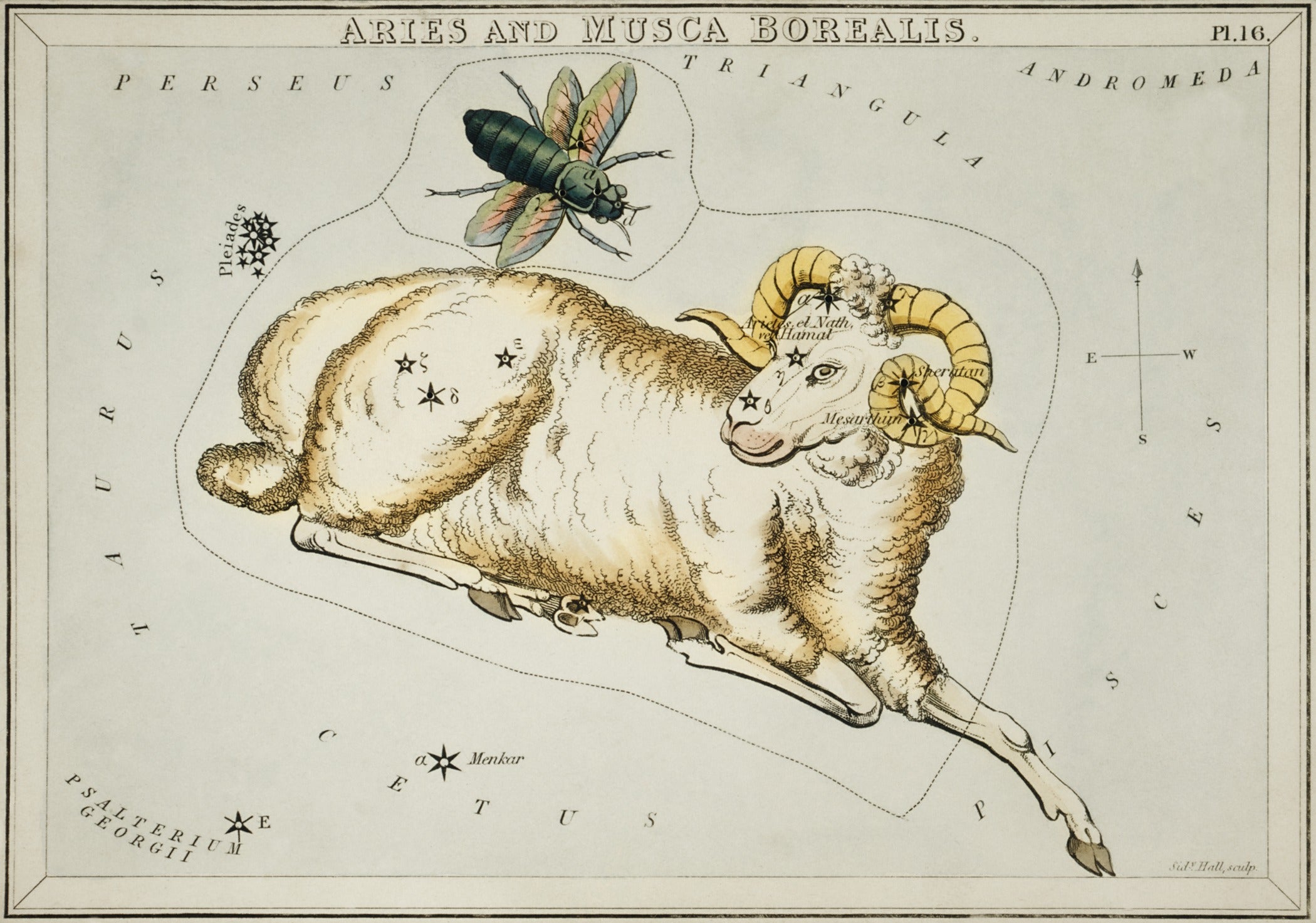 Sidney Hall — Aries | Vintage Celestial Star Chart Print - 9ArtPrints