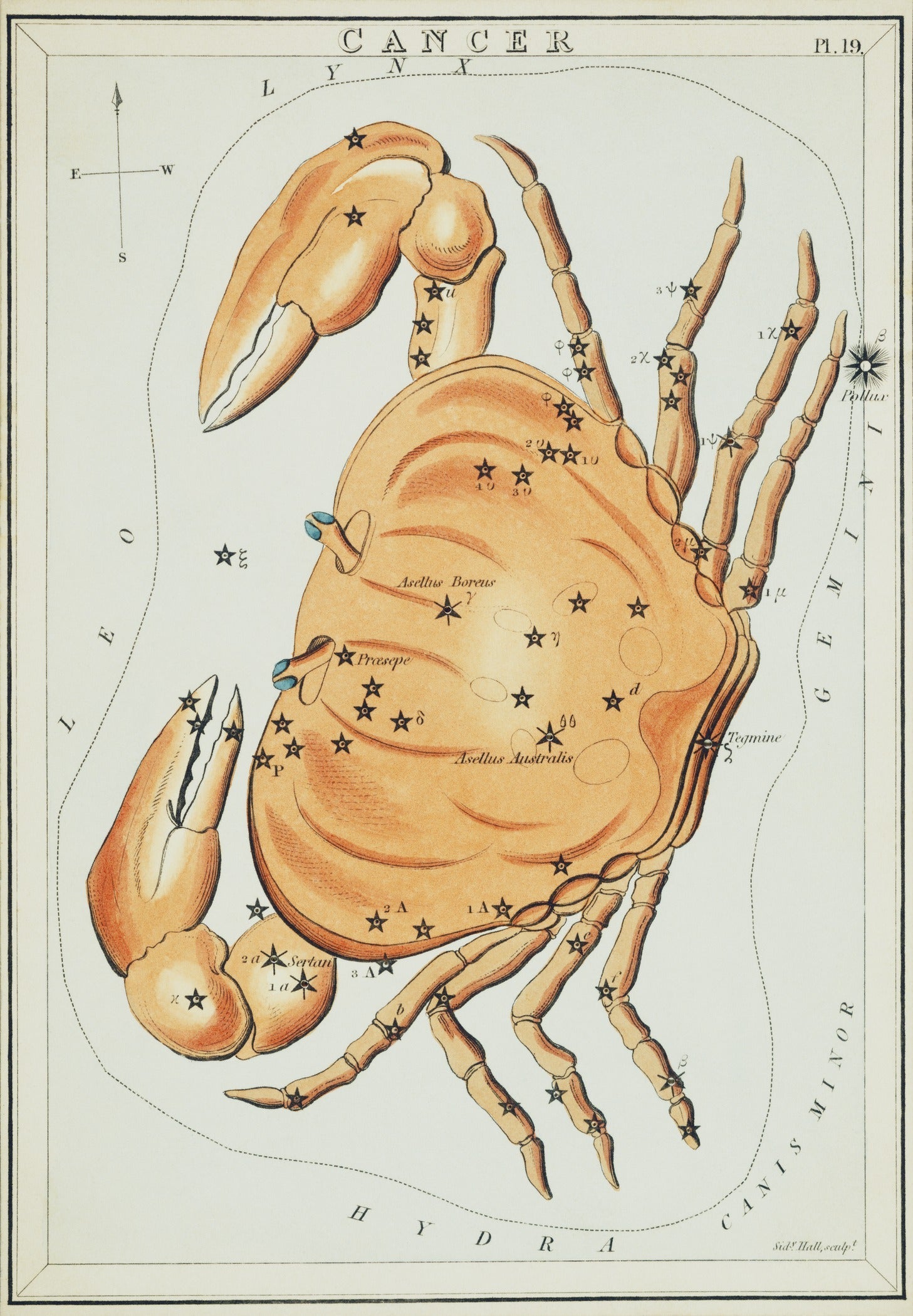 Sidney Hall — Cancer | Vintage Celestial Star Chart Print - 9ArtPrints