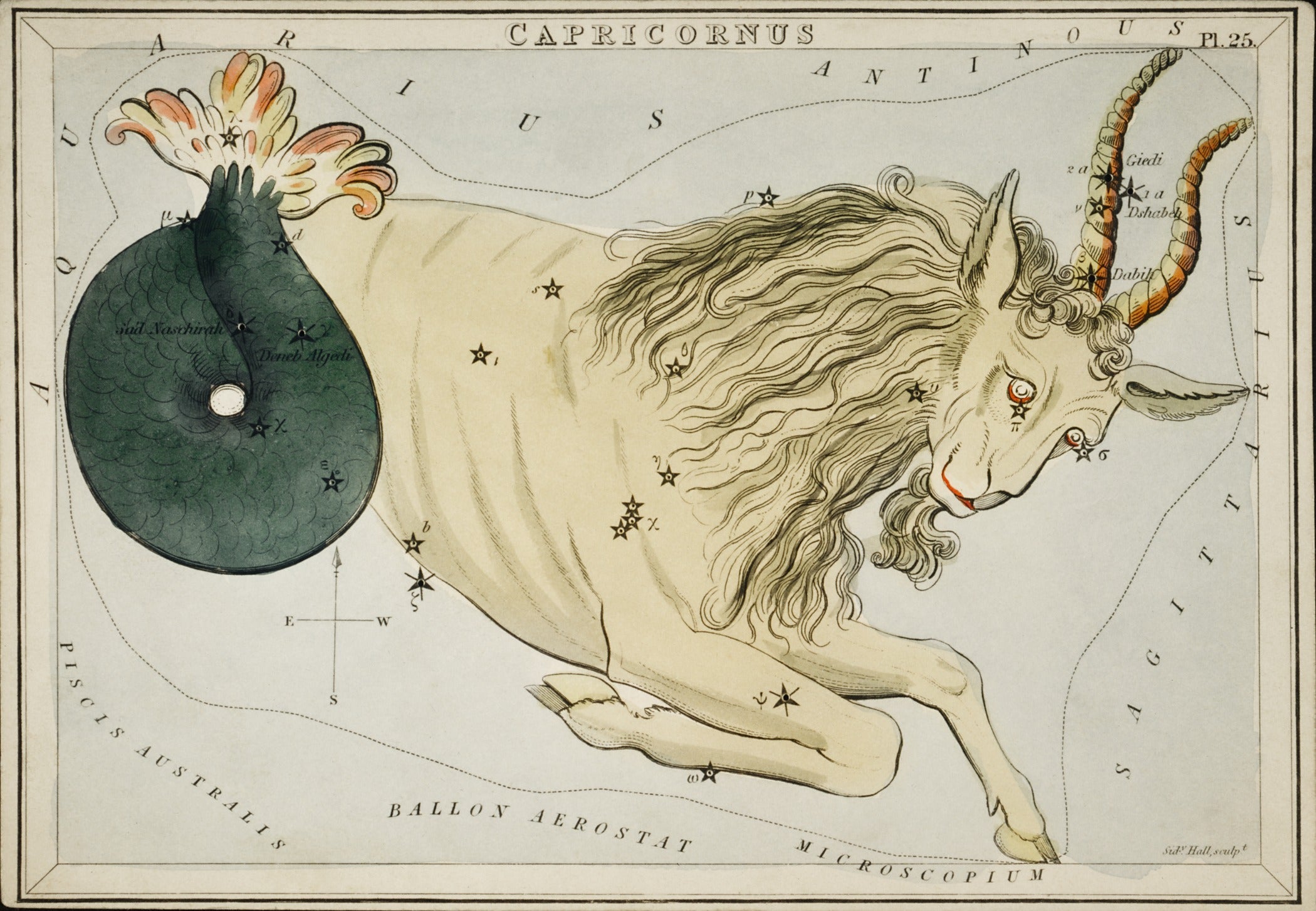 Sidney Hall — Capricorn | Vintage Celestial Star Chart Print - 9ArtPrints