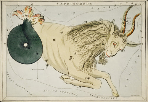 Sidney Hall — Capricorn | Vintage Celestial Star Chart Print - 9ArtPrints