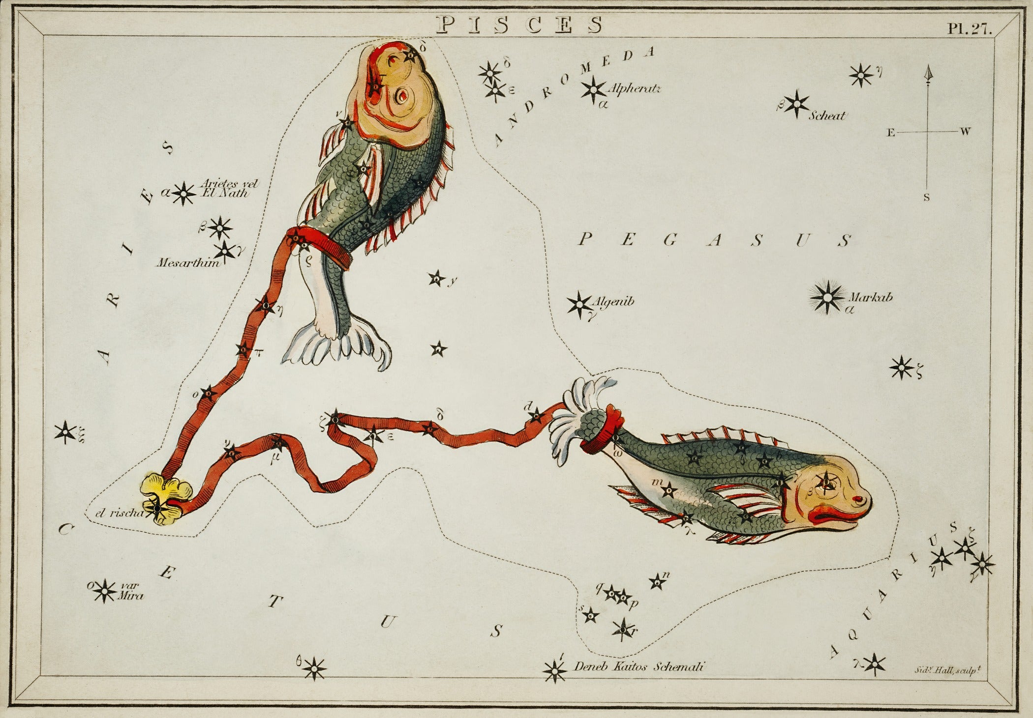 Sidney Hall — Pisces | Vintage Celestial Star Chart Print - 9ArtPrints