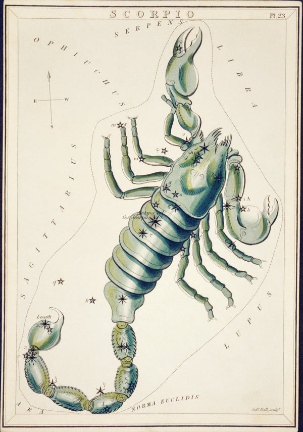 Sidney Hall — Scorpio | Vintage Celestial Star Chart Print