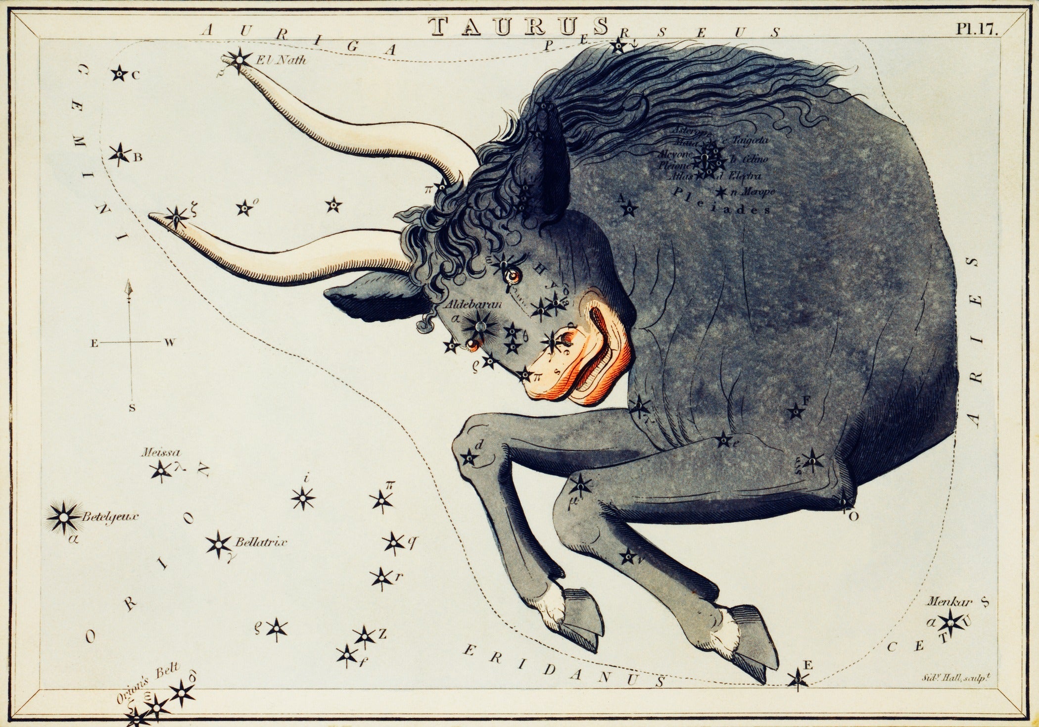 Sidney Hall — Taurus | Vintage Celestial Star Chart Print - 9ArtPrints