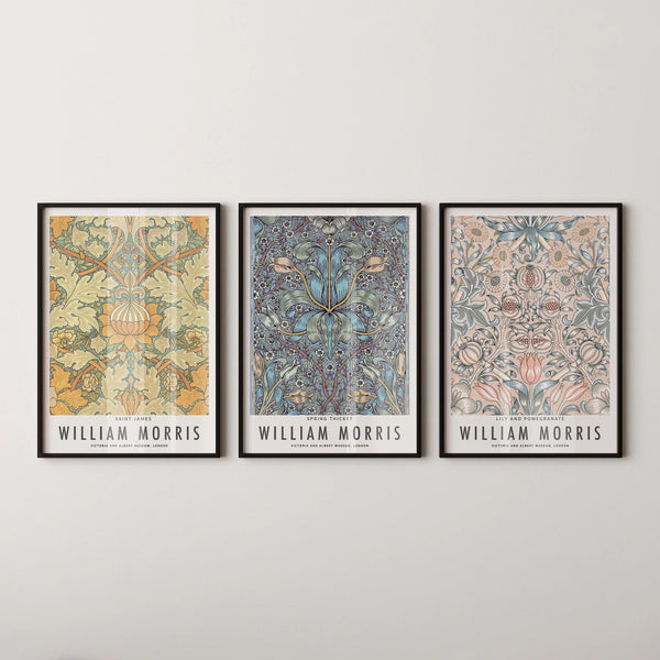William Morris — Statement Trio | Orange, Blue & Peach | Botanical Art Print