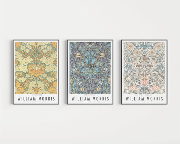 William Morris — Statement Trio | Orange, Blue & Peach | Botanical Art Print