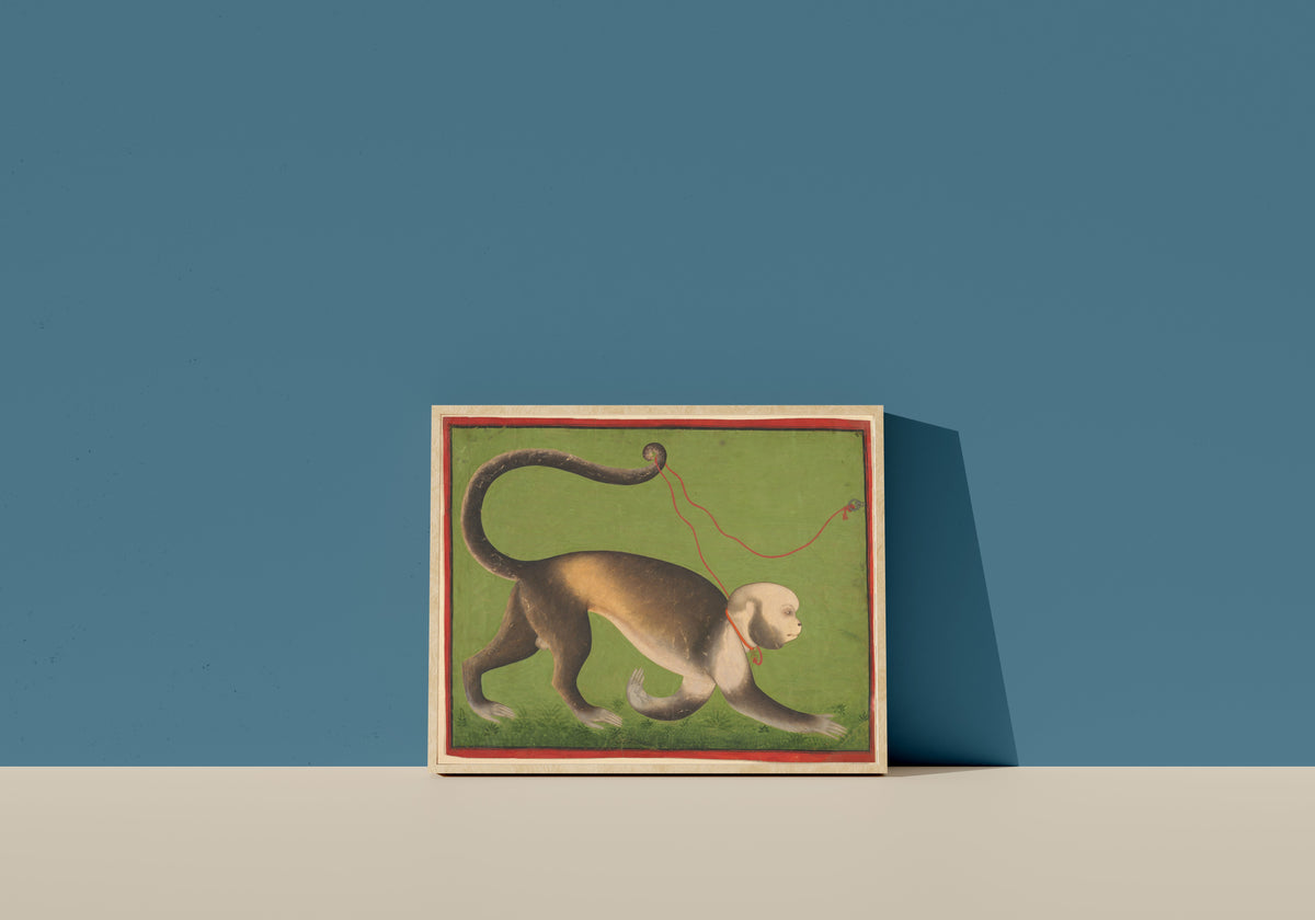 Framed art print of A Monumental Portrait of a Monkey by Stipple Master (attributed), in a light wood frame leaning on a blue wall