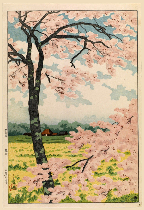 Takahashi Shōtei — Nekata (Cherry Blossoms) | Shin Hanga Print