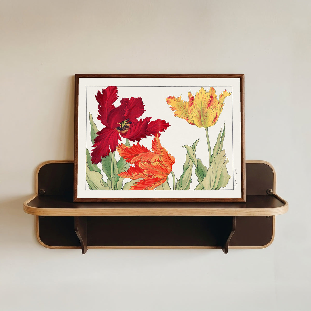 Framed art print of Parrot tulip by Tanigami Kōnan, in a dark wood frame resting on a wall shelf