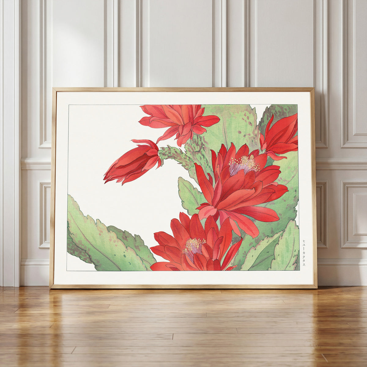 Framed art print of Phyllocactus flower by Tanigami Kōnan, in a light wood frame leaning against a panelled white wall