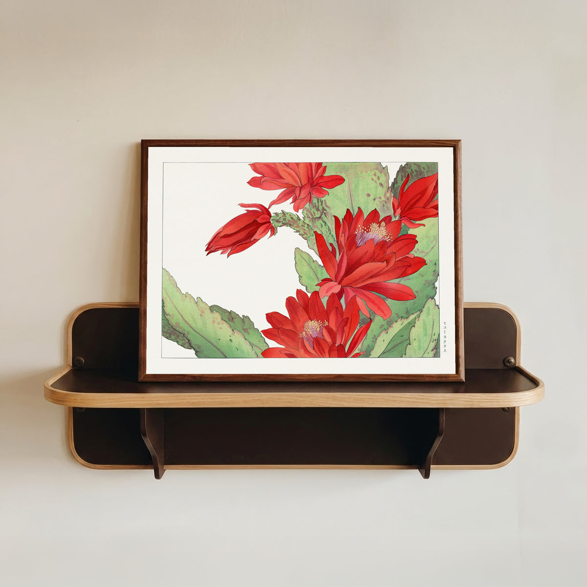 Framed art print of Phyllocactus flower by Tanigami Kōnan, in a dark wood frame resting on a wall shelf