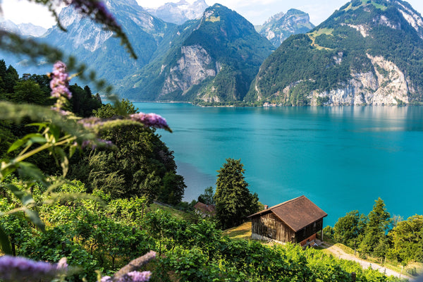 Daniela Faust — Tellsplatte, Switzerland | Fine Art Photography Print