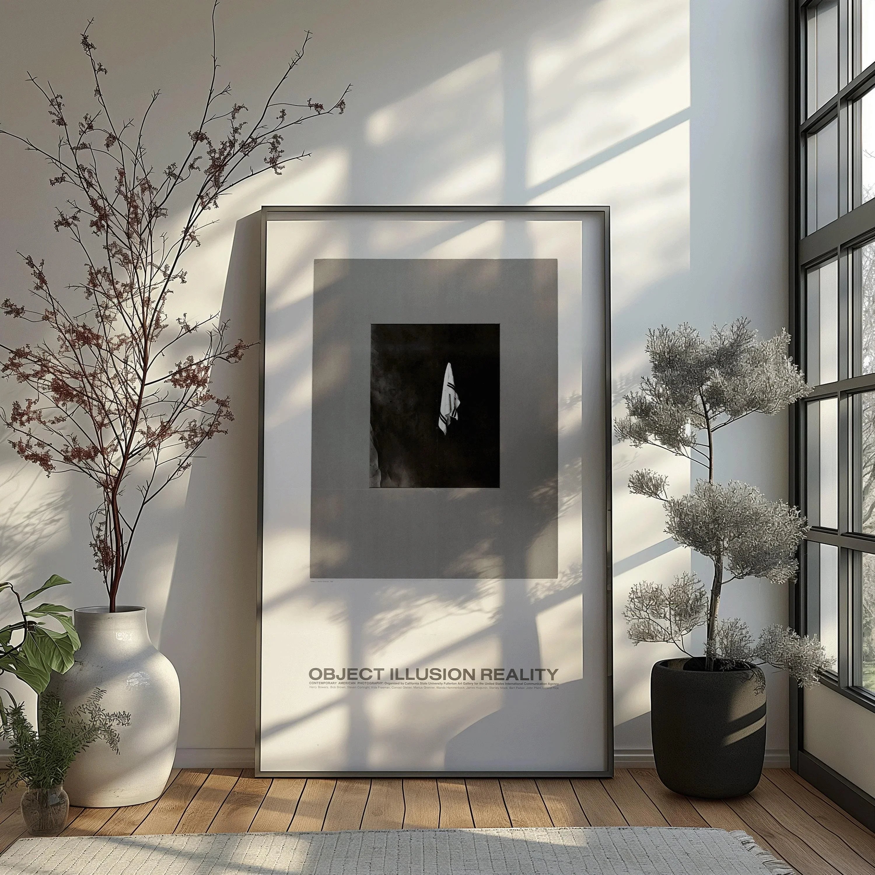 USIA Poster: Object Illusion Reality - Midcentury Modern Giclee Print (2x1) - 9ArtPrints