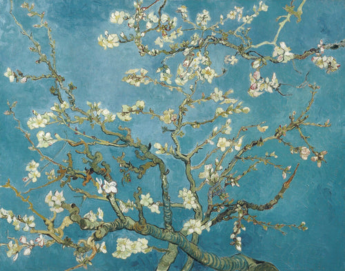Vincent Van Gogh — Almond Blossoms | Fine Art Print - 9ArtPrints