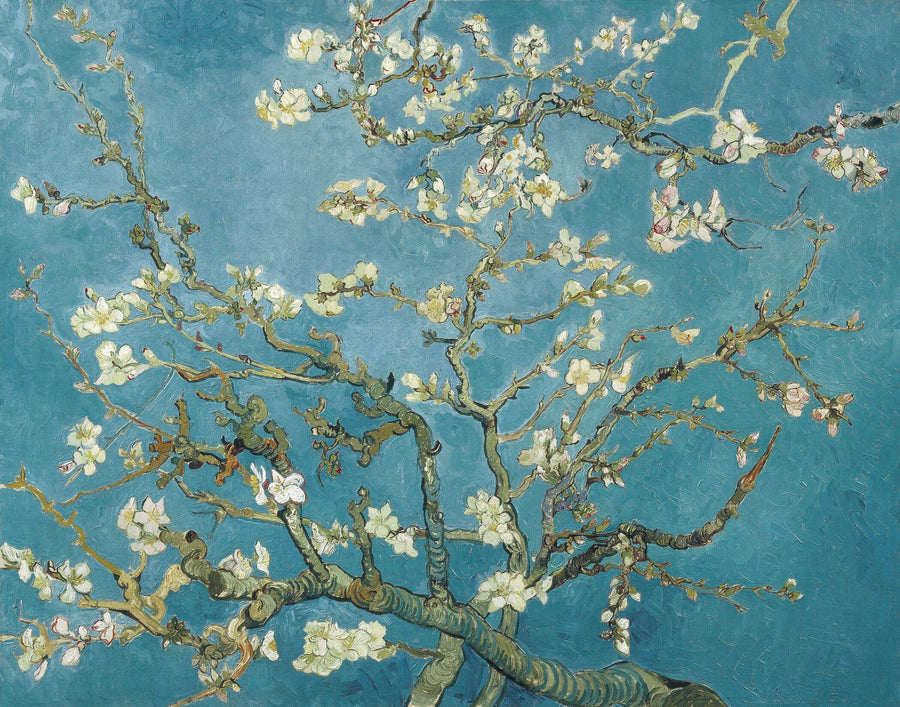 Vincent Van Gogh — Almond Blossoms | Fine Art Print shown to scale on a wall above a sofa