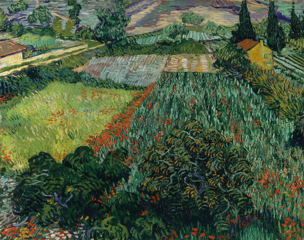 Vincent van Gogh — Field with Poppies | Fine Art Print
