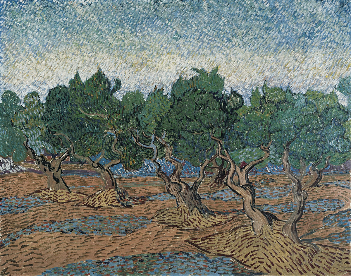 Vincent van Gogh — Olive Grove | Fine Art Print - 9ArtPrints