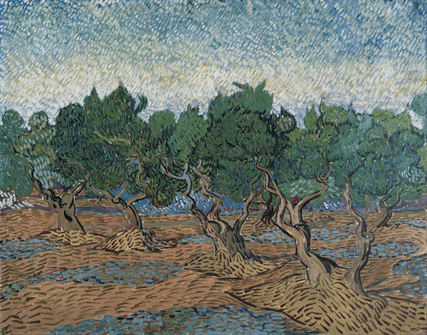 Vincent van Gogh — Olive Grove | Fine Art Print
