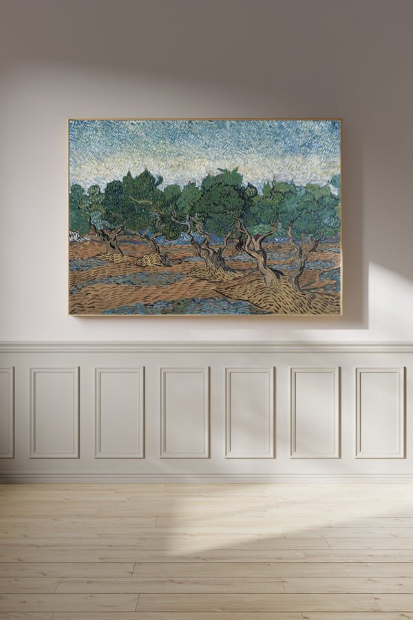 Vincent van Gogh — Olive Grove | Fine Art Print