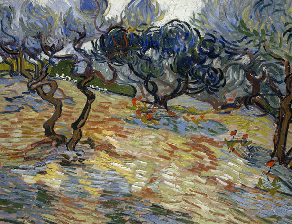 Vincent van Gogh — Olive Trees | Fine Art Print