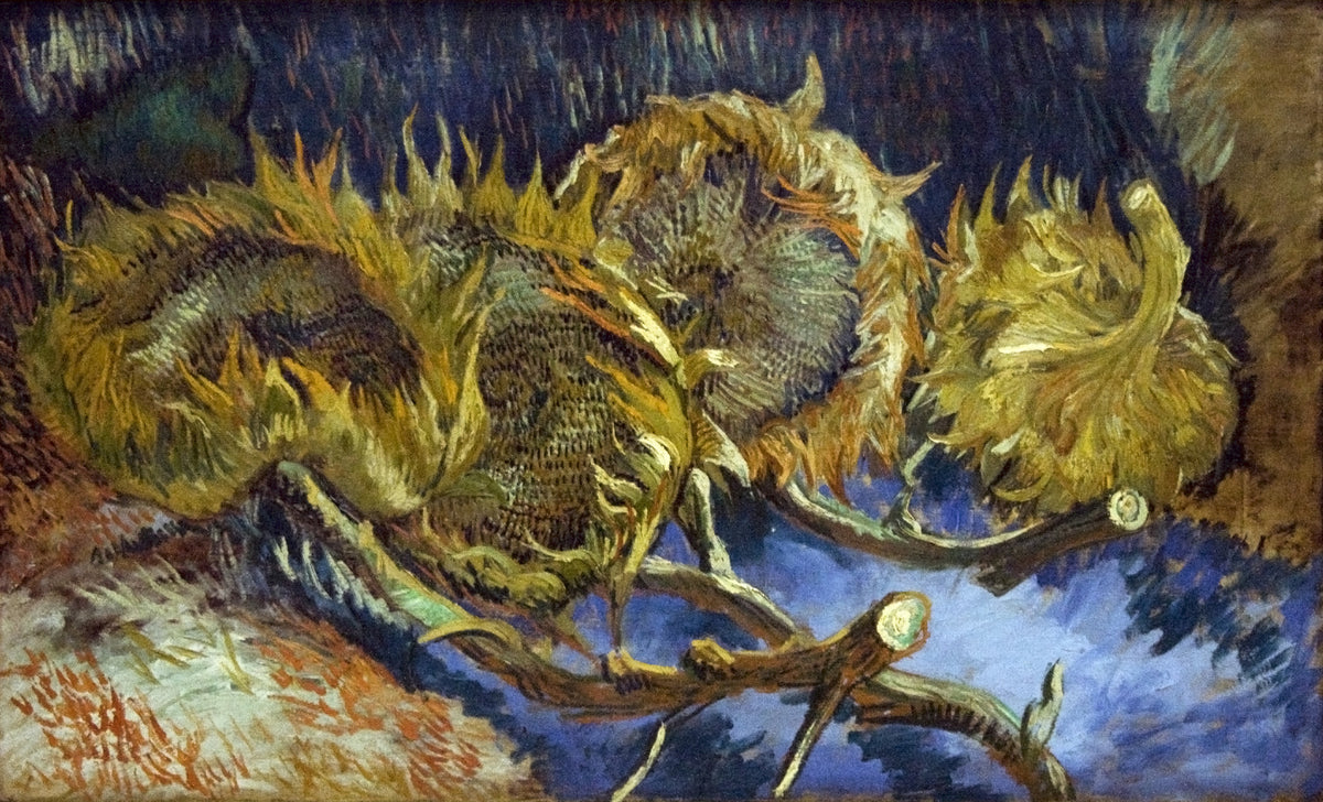 Four Cut Sunflowers by Vincent van Gogh — Four dried sunflower heads stretch across a long blue field
