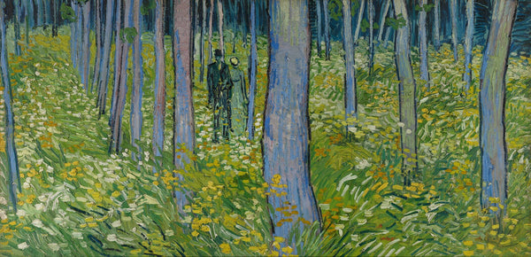 Vincent Van Gogh — Undergrowth | Fine Art Print