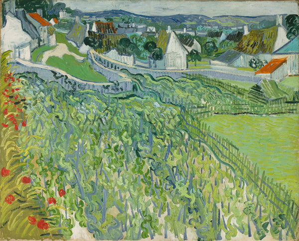 Vincent van Gogh — Vineyards at Auvers | Fine Art Print