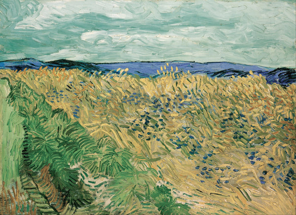 Vincent van Gogh — Wheatfield with Cornflowers | Fine Art Print