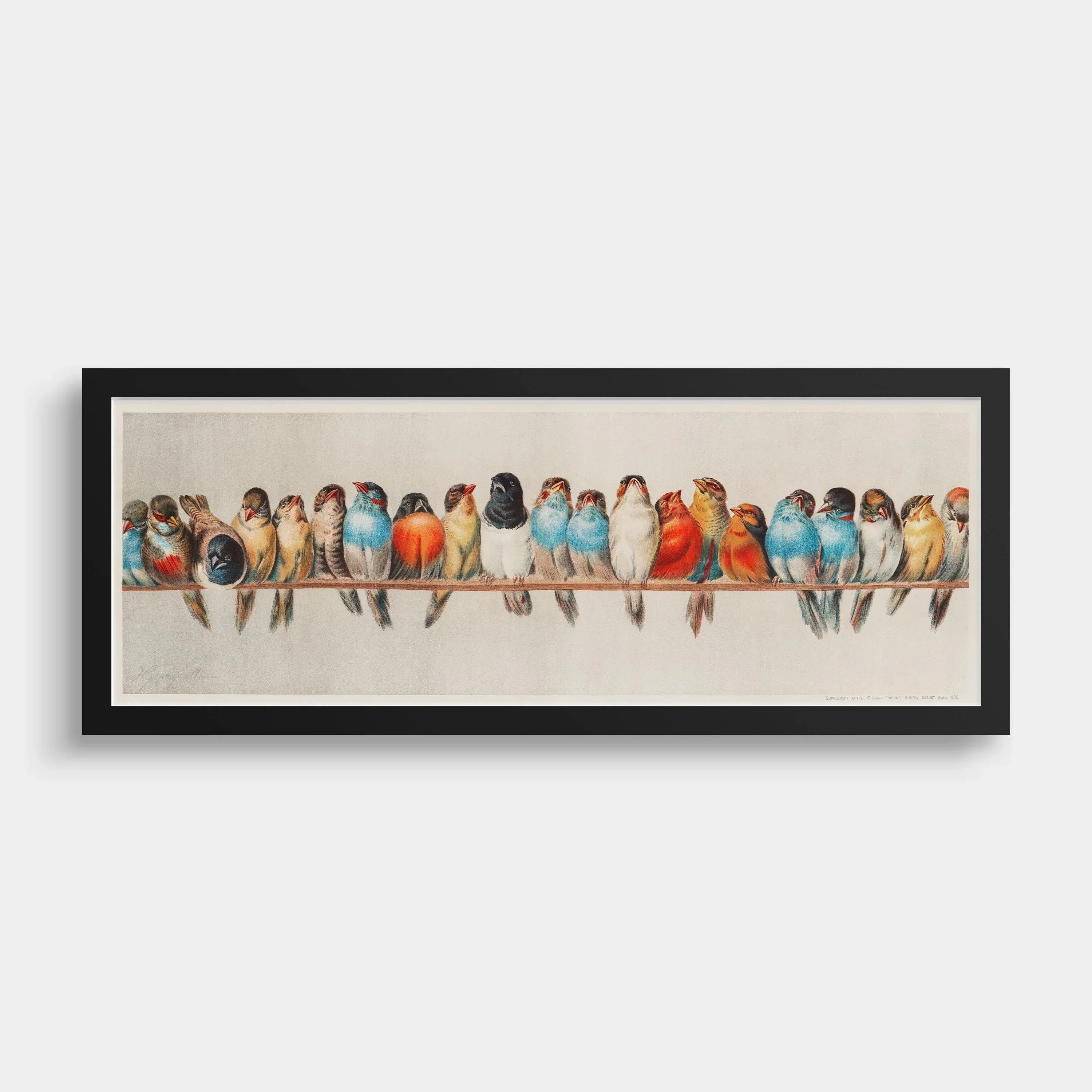 Vintage Bird Print: Colorful Birds on a Wire, Panoramic Artwork - 9ArtPrints