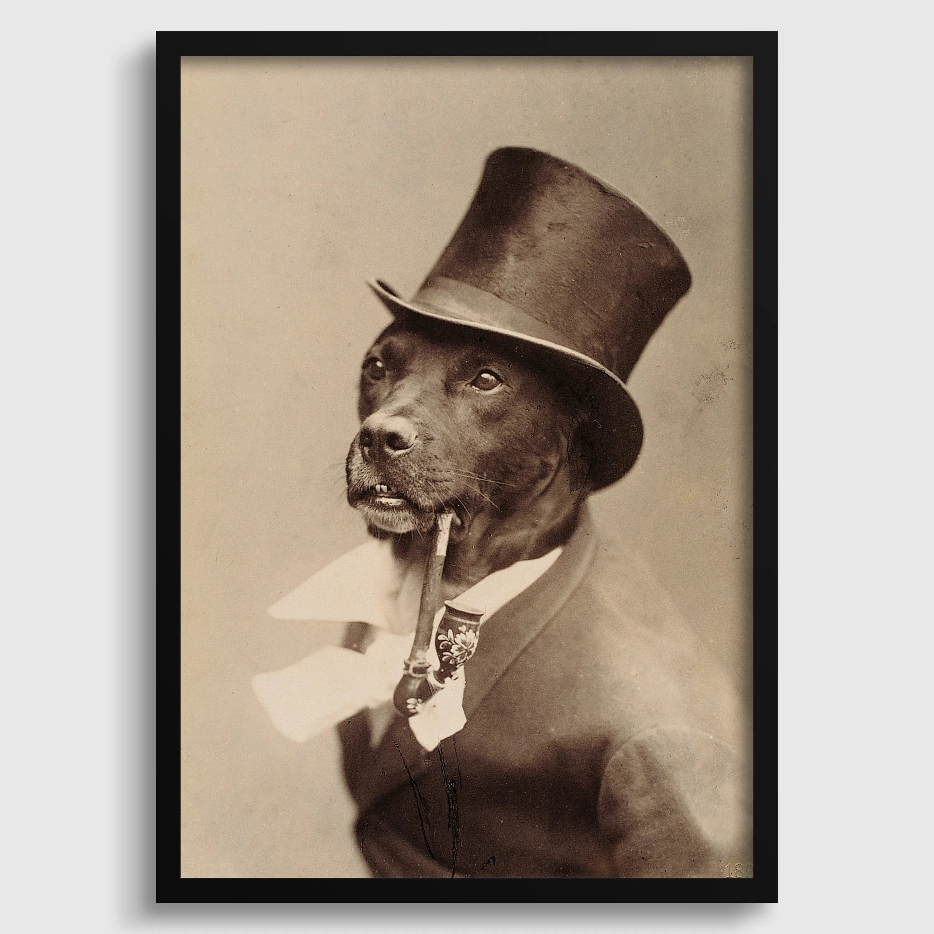 Vintage Dog Portrait : 1800's Famous Black and White Photograph Giclée Print - 9ArtPrints