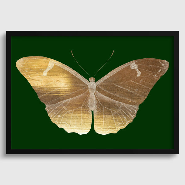 Vintage Illustration — Gold Butterfly | Fine Art Print