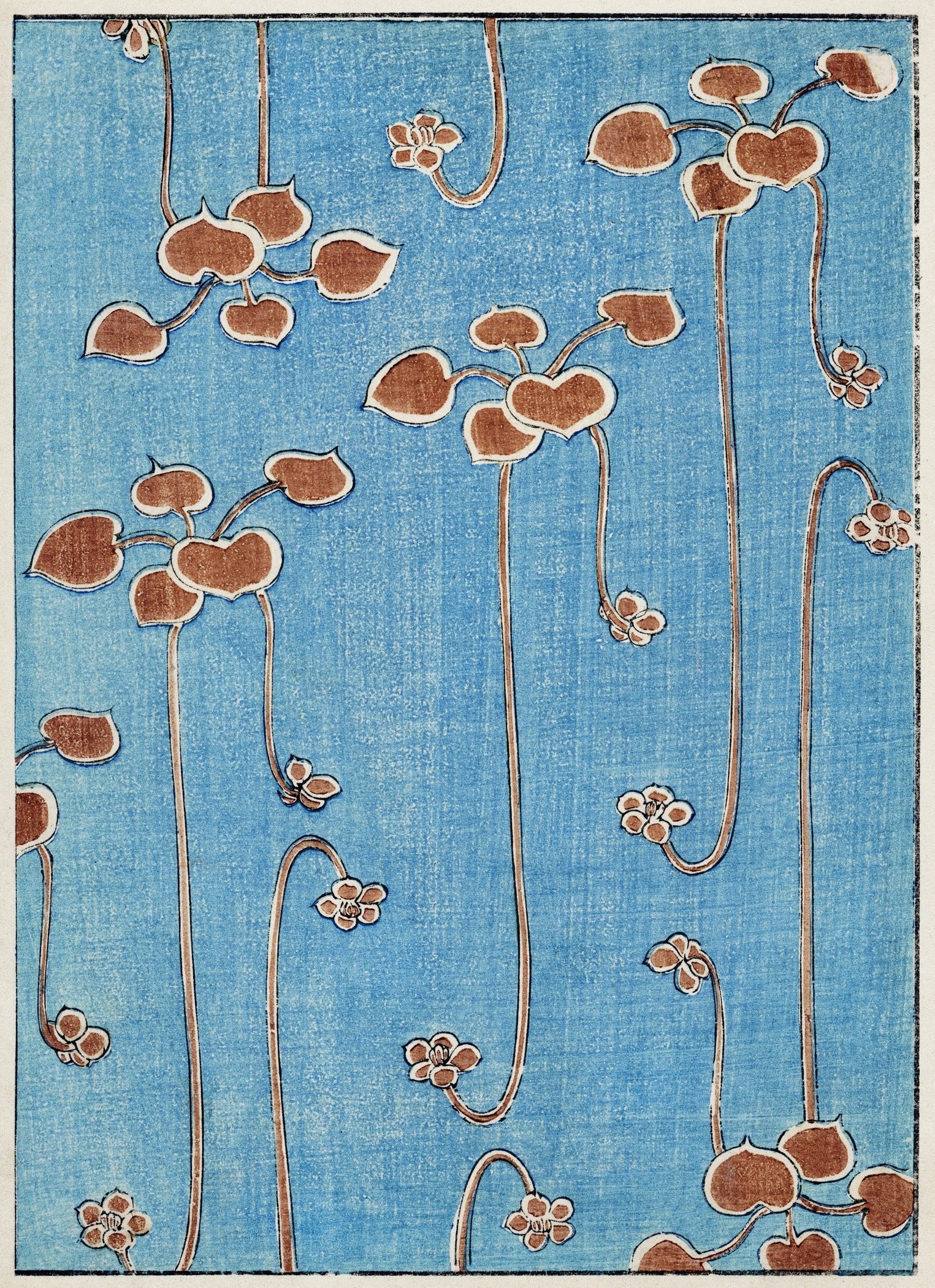Watanabe Seitei — Vine Illustration | Meiji Period Print - 9ArtPrints