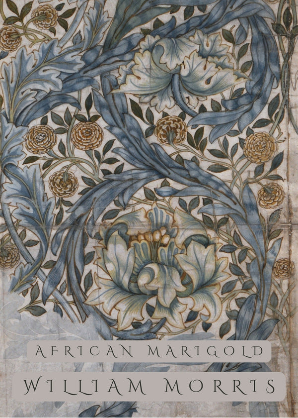 William Morris — African Marigold | Botanical Art Print
