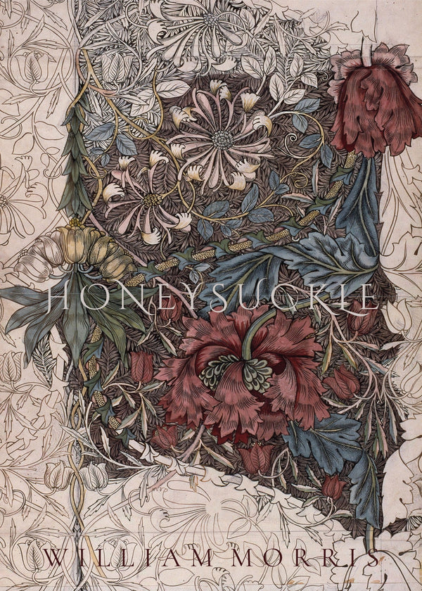 William Morris — Honeysuckle | Botanical Art Print