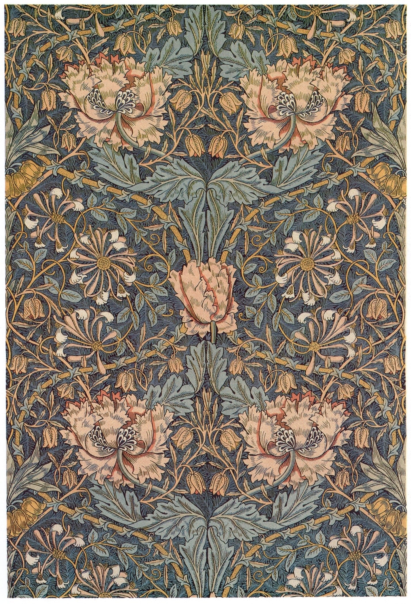 William Morris — Honeysuckle | Botanical Art Print - 9ArtPrints