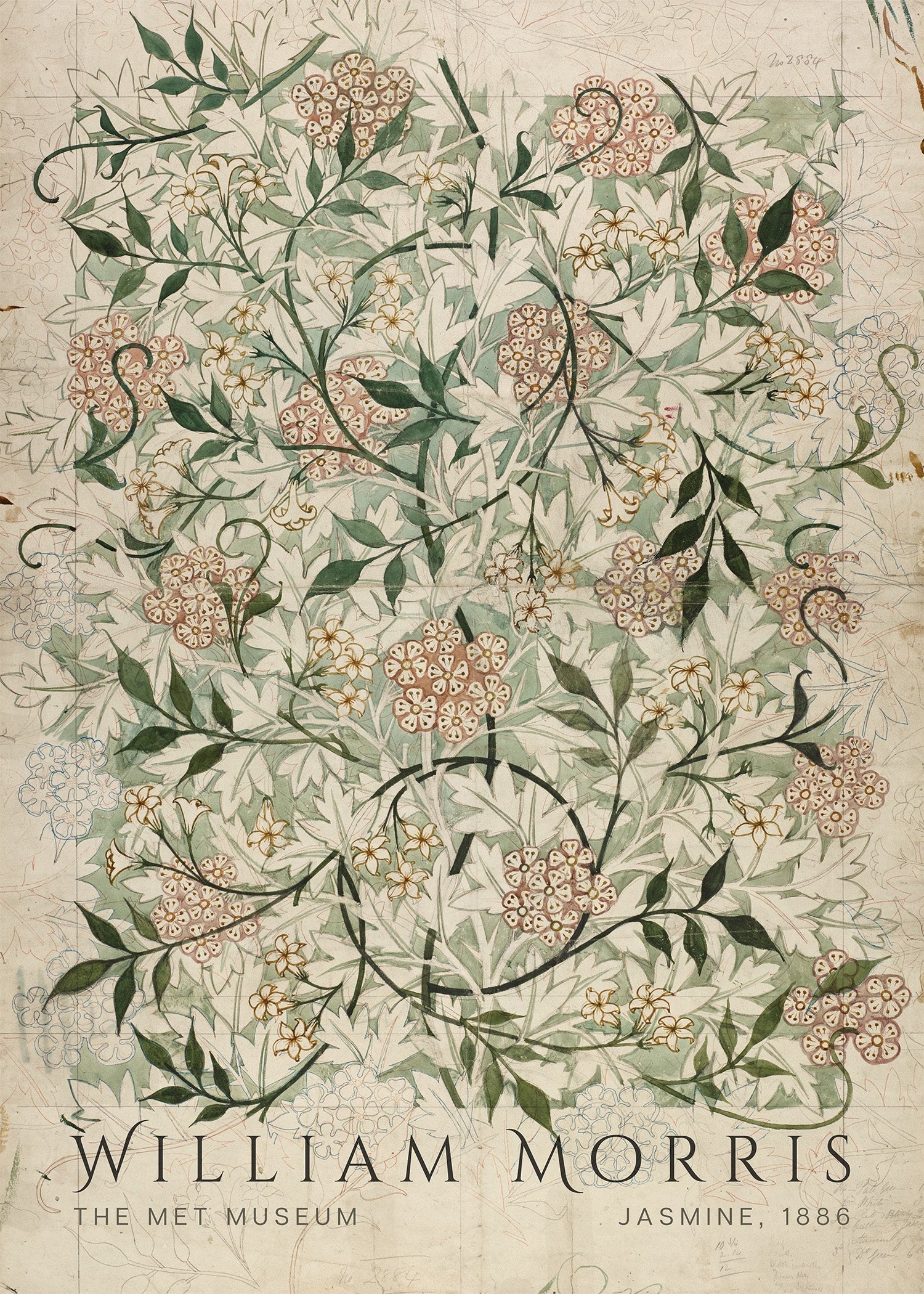 William Morris Jasmine Print: Vintage Botanical Art, Giclee Fine Art - 9ArtPrints