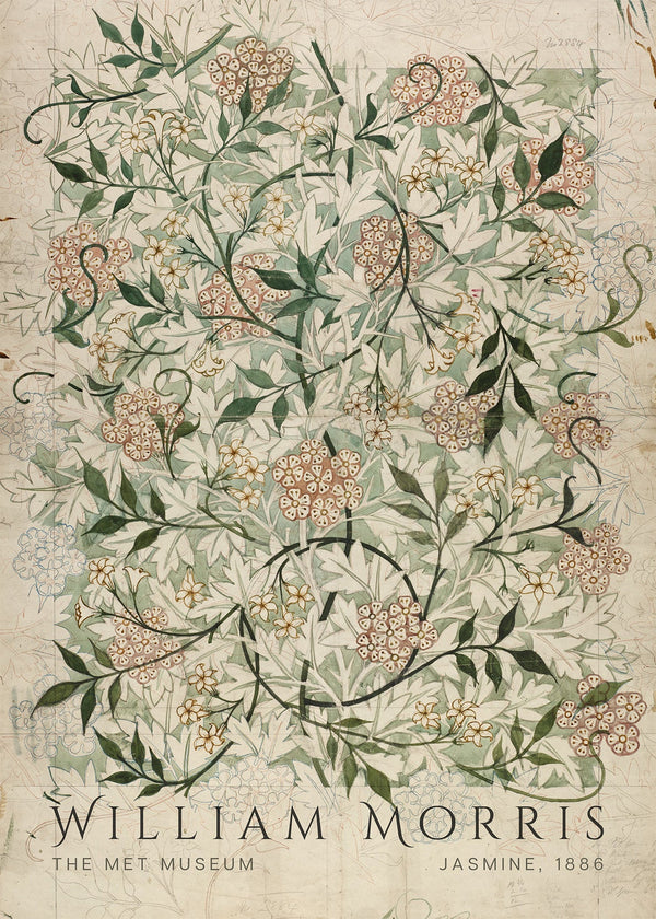 William Morris — Jasmine | Botanical Art Print