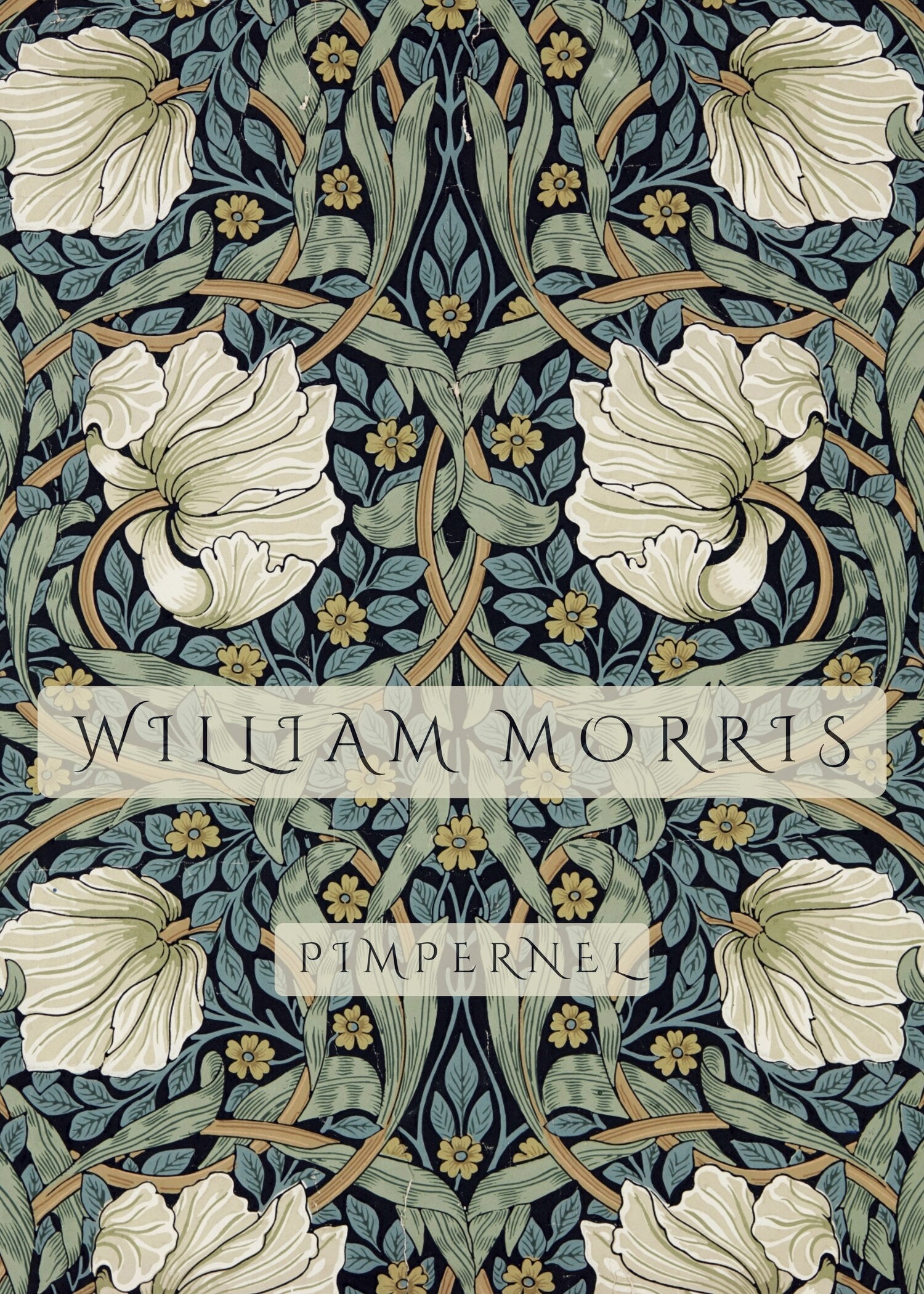 William Morris — Pimpernel | Botanical Art Print - 9ArtPrints