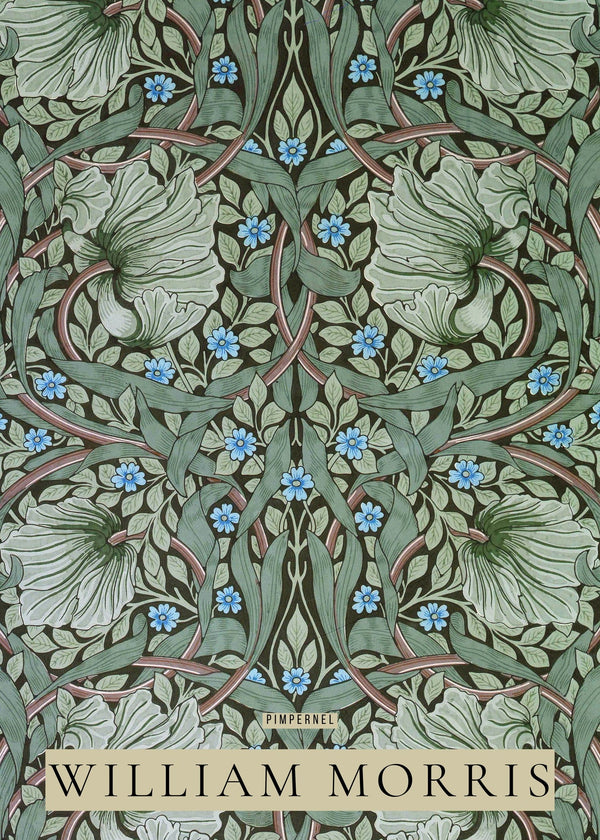 William Morris — Pimpernel | Botanical Art Print